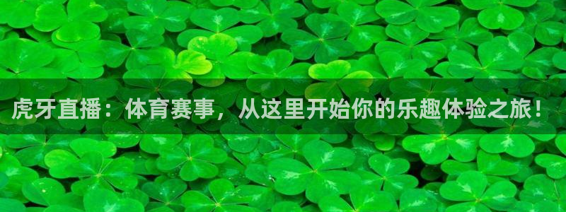 雨燕在线体育直播