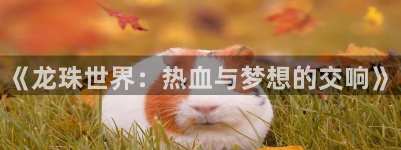 nba雨燕直播免费高清在线