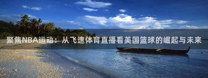 雨燕直播在线nba观看