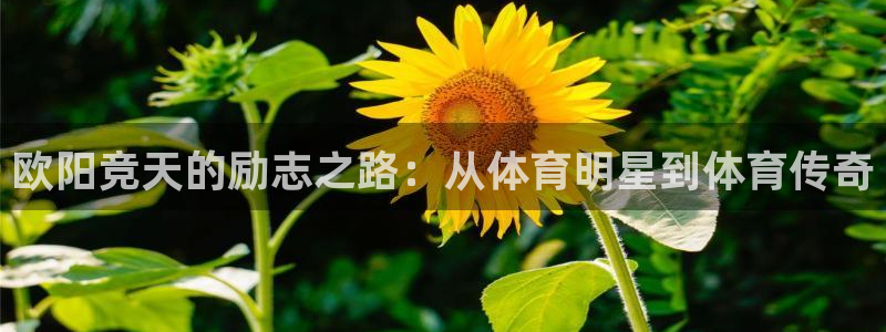 雨燕360直播高清nba：欧阳竞天的励志之路：从体育明星到体育传奇