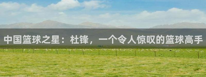 雨燕直播体育免费直播nba在线观看：中国篮球之星：杜锋，一个令人惊叹的篮球高手