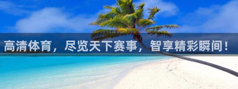 雨燕足球直播网址：高清体育，尽览天下赛事，智享精彩瞬间！