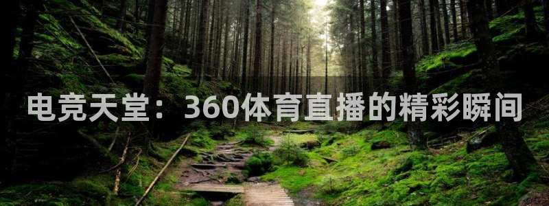 雨燕直播nba：电竞天堂：360体育直播的精彩瞬间